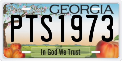 GA license plate PTS1973