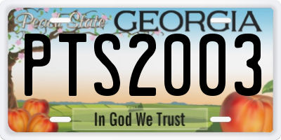 GA license plate PTS2003
