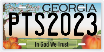 GA license plate PTS2023