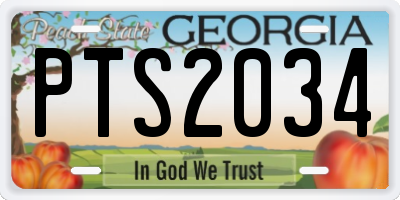 GA license plate PTS2034