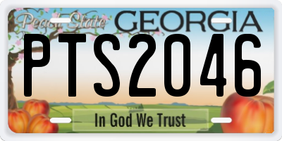 GA license plate PTS2046
