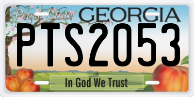 GA license plate PTS2053