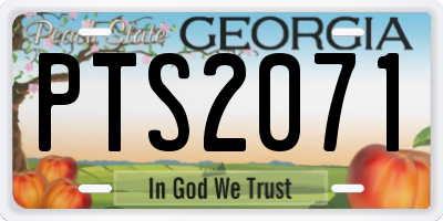 GA license plate PTS2071