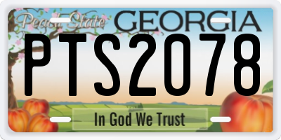 GA license plate PTS2078