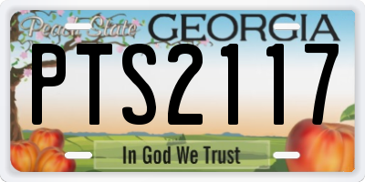 GA license plate PTS2117
