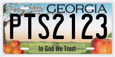 GA license plate PTS2123