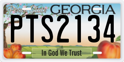 GA license plate PTS2134
