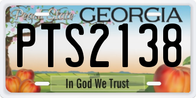 GA license plate PTS2138