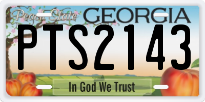 GA license plate PTS2143