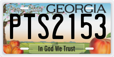 GA license plate PTS2153