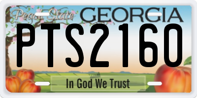 GA license plate PTS2160