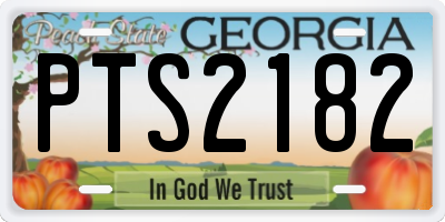 GA license plate PTS2182