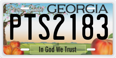 GA license plate PTS2183