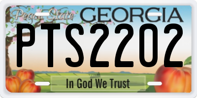 GA license plate PTS2202