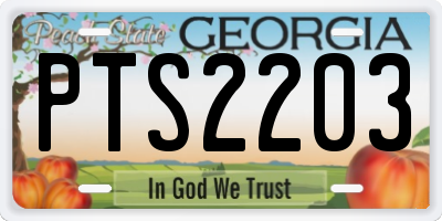 GA license plate PTS2203