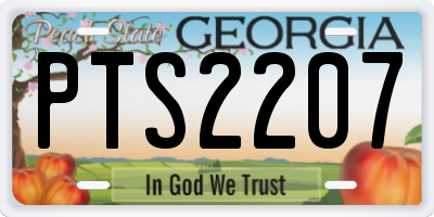 GA license plate PTS2207