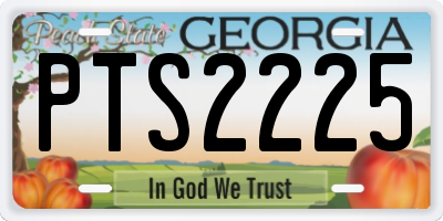 GA license plate PTS2225