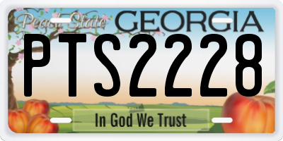 GA license plate PTS2228