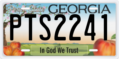 GA license plate PTS2241
