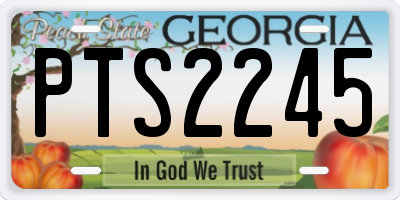 GA license plate PTS2245