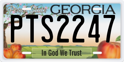 GA license plate PTS2247