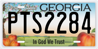 GA license plate PTS2284