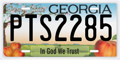 GA license plate PTS2285