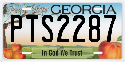 GA license plate PTS2287