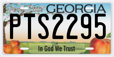 GA license plate PTS2295