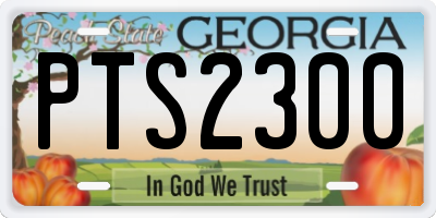 GA license plate PTS2300