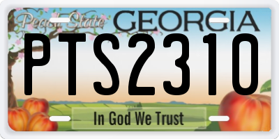 GA license plate PTS2310