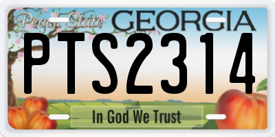 GA license plate PTS2314