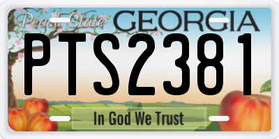 GA license plate PTS2381