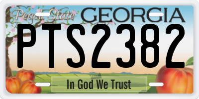GA license plate PTS2382