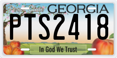 GA license plate PTS2418