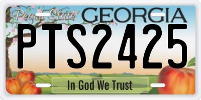 GA license plate PTS2425
