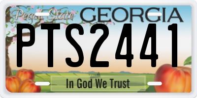 GA license plate PTS2441