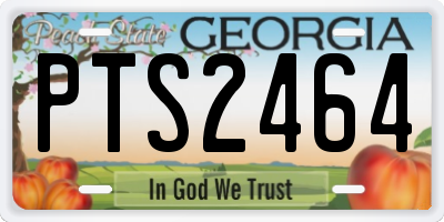 GA license plate PTS2464