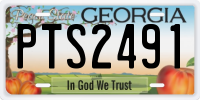 GA license plate PTS2491