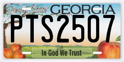 GA license plate PTS2507