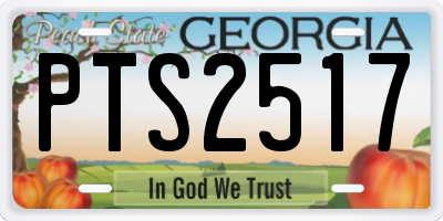 GA license plate PTS2517