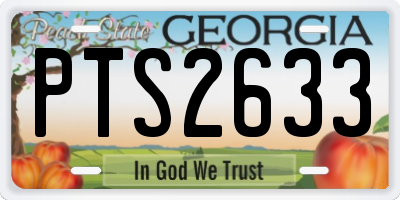 GA license plate PTS2633