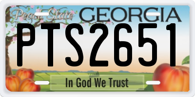 GA license plate PTS2651