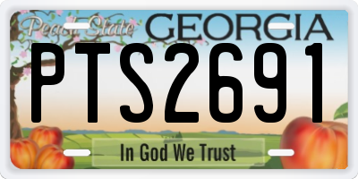 GA license plate PTS2691