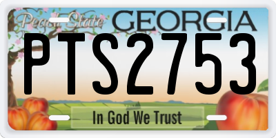 GA license plate PTS2753