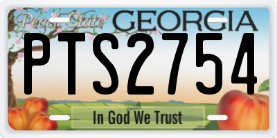 GA license plate PTS2754