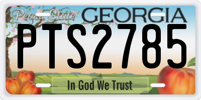 GA license plate PTS2785