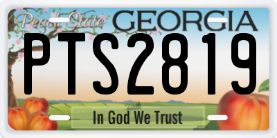 GA license plate PTS2819