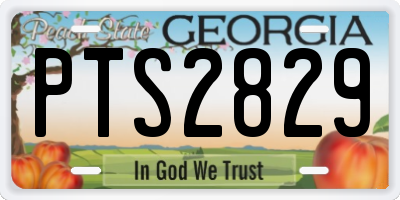 GA license plate PTS2829