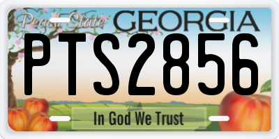 GA license plate PTS2856